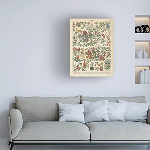 Търговска марка на Fine Art 'French Flower Chart' Платно-арт от Wild Apple Portfolio 24x32