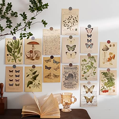Комплект за винтажного Фотоколлажа На стената Естетически Плакати, Илюстрации горски растения, пеперуди, гъби, Естетични