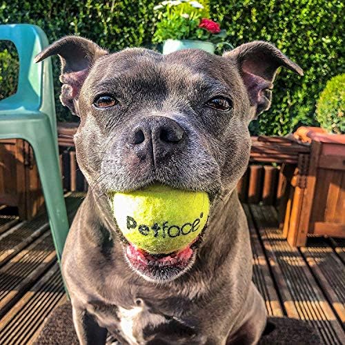 Тенис топки Petface Супер за кучета, Хвърляне и внасят, За упражнения на открито, 12 Опаковки