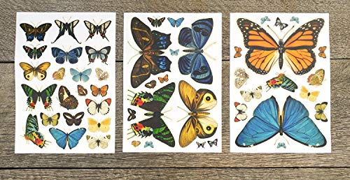 Стикери за стена Невероятни Реалистични Реколта пеперуди (над 50 Различни винилови стикери) Лесно Излитане Водоустойчив