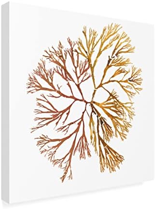Търговска марка на Fine Art 'Pacific Sea Mosses XX White Sq' Платно-арт от Wild Apple Portfolio