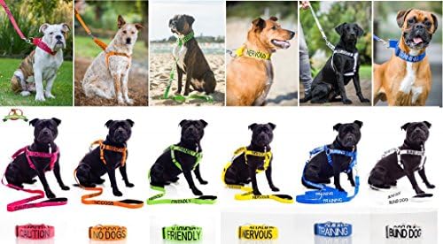 Нашийник за кучета с неопреновой подплата Dexil Limited Therapy Куче в Син цвят с кодиране S-M-L-XL Предотвратява злополуки, предварително да предупреди другите за Вашето куче (