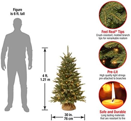 Предварително осветени изкуствена мини-Коледна елха Tree National Company от чул - 4 фута, 4 инча, Зелена и Предварително