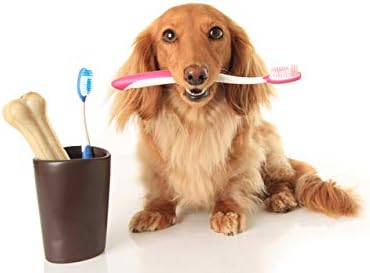 Витамини за дъвчене на дъвка за кучета - Грижа за здрави зъби за кучета - Комплекс за дъвчене на дъвка, и на зъбите - Предотвратява образуването на плака - Дъвченето н?