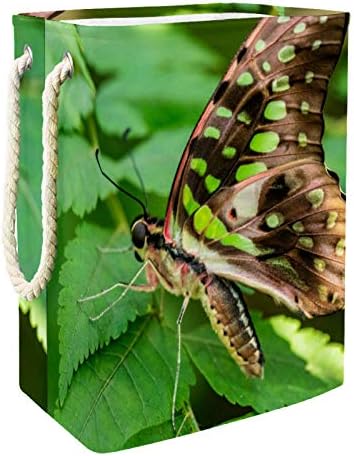 Кошница за дрехи MAPOLO Пеперуда В листата Сгъваема Кошница за съхранение на бельо с Дръжки Подвижни Скоби Добре да се