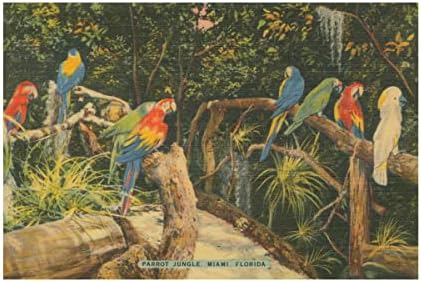 Търговска марка на Fine Art 'Florida Postcard II' Платно-арт от Wild Apple Portfolio 16x24