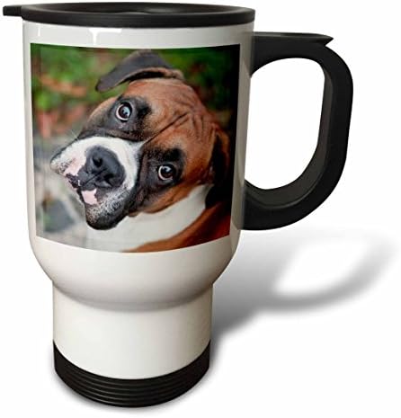 3D Чаша за пътуване Портрет на сладък кучета-боксьор от неръждаема стомана, 14 грама, Многоцветен