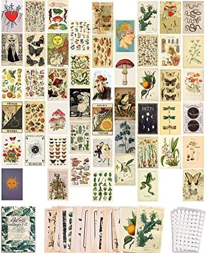 SOONYO Реколта Ботаническая Илюстрация на Таро, Естетически Картини, Комплект за Стенен Колаж, Модерен Малък Плакат за